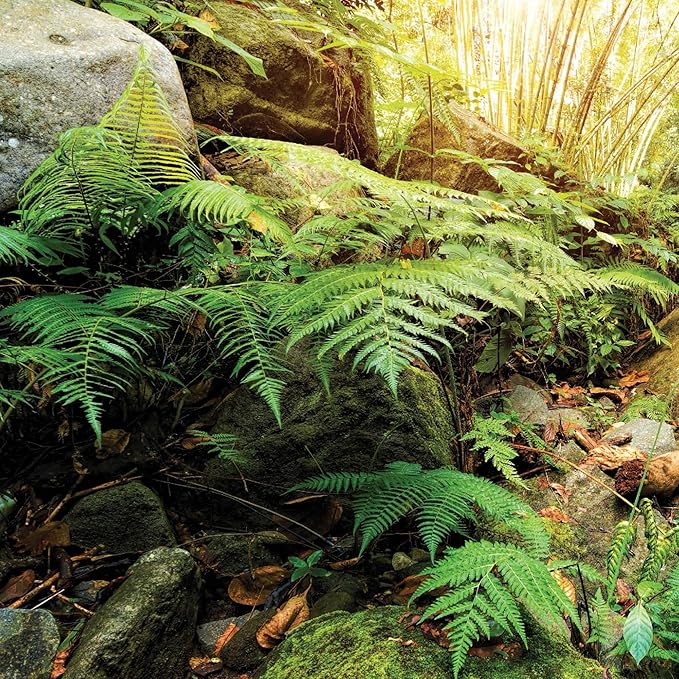 Galápagos (05400) Terrarium Background Clings, 11.125" x 36", Woodland