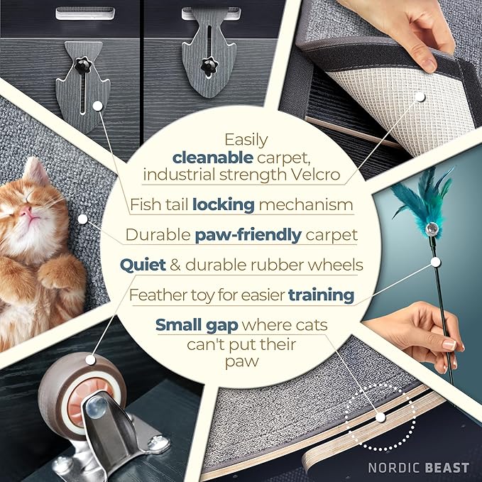 48'' XL Cat Wheel – Safe, Quiet & Stable Exercise Wheel for Large Indoor Cats up to 45 lbs – 15.7'' Extra-Wide Surface Fits 2 Cats Side by Side & Prevents Wobbling, 1-Year Warranty