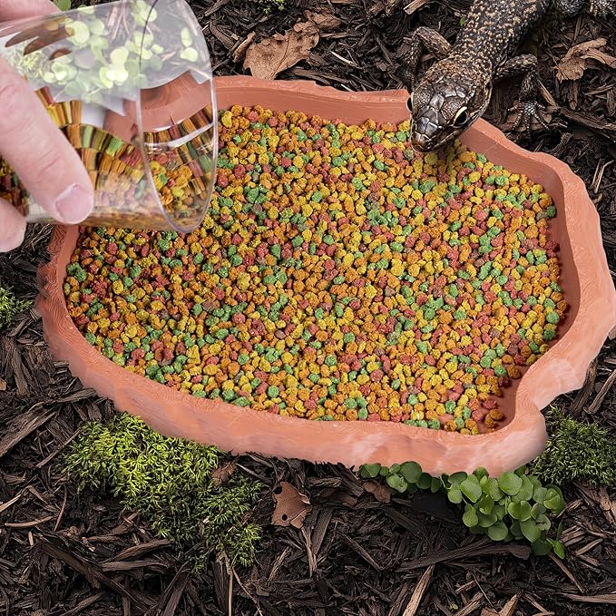 Gecko Cave Reptile Feeding Tray – Naturalistic Pet Dish for Lizards, Snakes, Bearded Dragons, Tortoises & Turtles - Terracotta