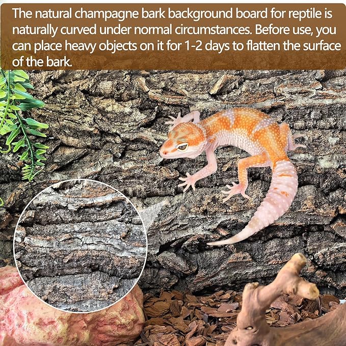 Hamiledyi Cork Terrarium Background 11.8x7.9in 6PCS Natural Reptile Cork Bark Flats Terrarium Board Bearded Dragon Climbing Wall Mat Tank Decor for Lizard Chamelon Snake Turtle Spider Crested Gecko