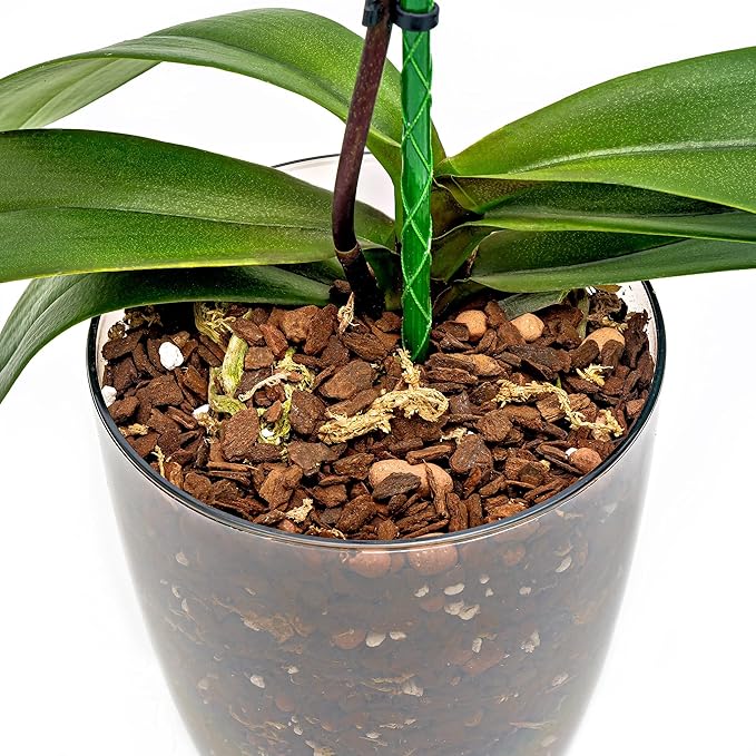 Premium Orchid Soil Mix by Gardenera - Hand Mixed New Zealand Pinus Radiata 100% Natural Potting Soil Bark Mix - for Phalaenopsis Orchid - 5 Quart - Made in USA