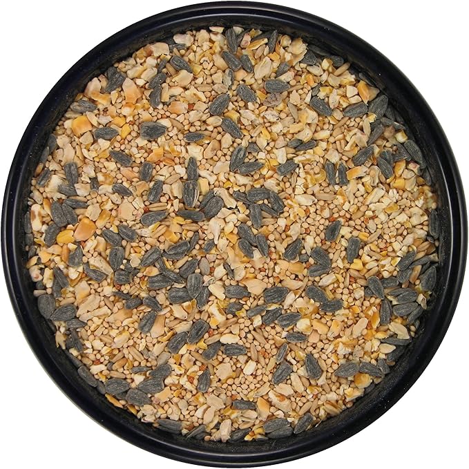 SLEEK & SASSY Premium Wild Bird Food (40 lbs.)