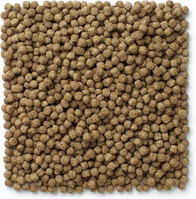 Mazuri Koi Premium Food Large - 5mm Pellet Food for Koi Over 12 inches Long, 20 Pound (20 LB) Bag