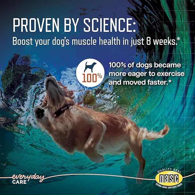 Virbac URSOLYX Soft Chews for Dogs | Muscle Health Support for Senior, Active or Recovering Dogs, Large | 60 Count 2- Month Supply