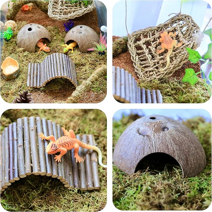 Hermit Crab Accessories – 8PCS Natural Hermit Crab Shells, Coconut Hideout, Climbing Toys Hammock, Moss, Plants & Water Dish, Habitat Decor for Hermit Crabs or Reptile Tank (C-Group-Water Dish).