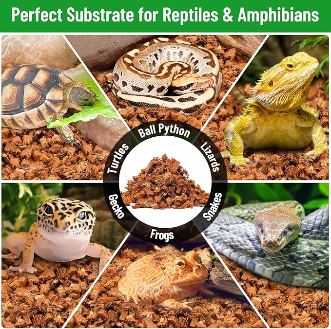 Riare 4 Pack Natural Coconut Chip Substrate for Reptiles- Compressed Coconut Husk Reptiles Bedding, Coco Husk Chip Terrarium Substrate for Snakes, Tortoises, Ball Python, Frogs, Bearded Dragon, Lizard