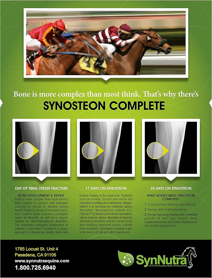SynOsteon, Highly Potent 100% Natural Bone & Joint Health Supplement for Horses, Approved by Veterinarians & Olympic Athletes, Lab Tested and Proven Results, More Potent, 30 Servings, Made in USA