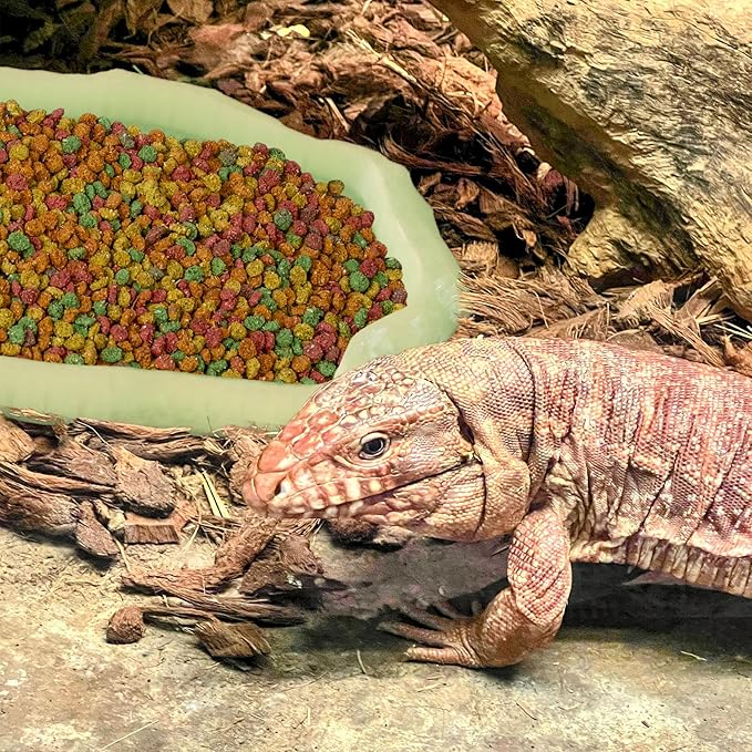 Gecko Cave Reptile Feeding Tray – Naturalistic Pet Dish for Lizards, Snakes, Bearded Dragons, Tortoises & Turtles - Glow in The Dark