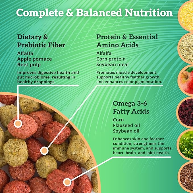 Scenic Mix Paradise Premium Parrot Food - Apple & Natural Flavors, High Protein, Low Iron Conure Bird Food, Eclectus & Other Small Pet Parrots, Omega 3, Vitamins & Minerals, 1 LB Bag