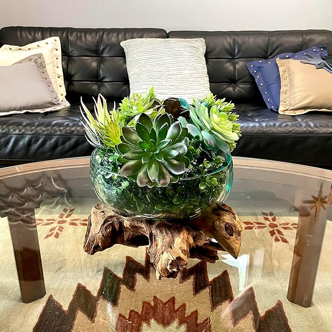 Molten Glass Bowl on Driftwood, 10 Inch Low Wide Hand Blown Decorative Bowl, Unique Natural Wood and Glass Sculpture, Table Centerpiece, Planter or Terrarium, Driftwood and Glass Bowl Decor for Home