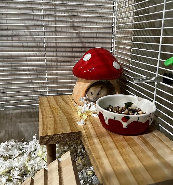 Ceramic Hamster Hideout - Small Animal Houses & Habitats for Mice, Gerbils, Lemmings or Other Small Pets - Accessories