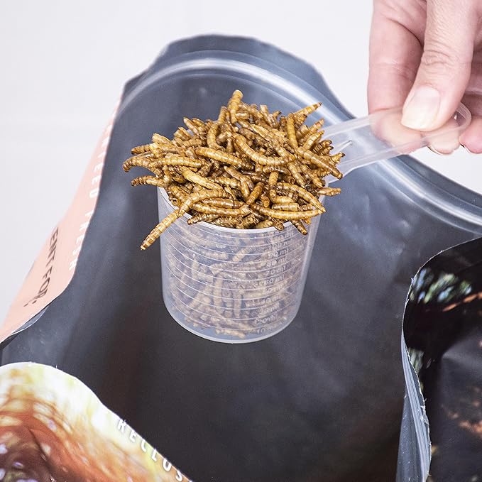 Dusico® Dried Mealworms 5LB / 2.3KG – Premium Mealy Worms, Dried for Birds Feeder, Chickens, Ducks, Quail, Reptiles & Fish – High Protein Non-GMO Chicken Treat, Wild Bird & Poultry Food Additive