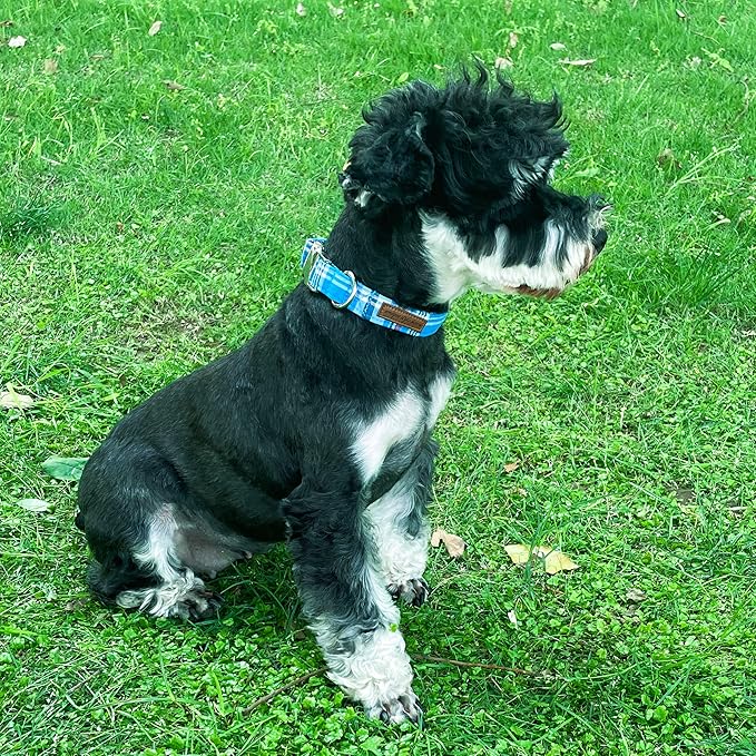 Unique style paws Dog Collar Metal Buckle Blue Plaid Collar Gift Durable Cute Collar for Small Medium Large Boys Girls Dogs