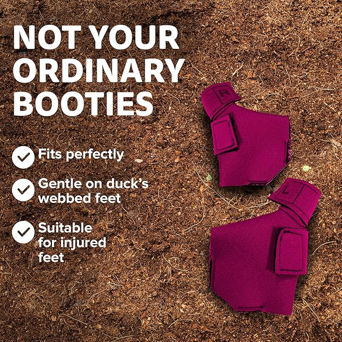 Duck Shoes for Injured Feet – Protective Neoprene Footwear for Ducks, Protective Shoes for Birds with Injured feet, Bumblefoot Relief - Medium, 3.5” Max. Inside Width - Pink