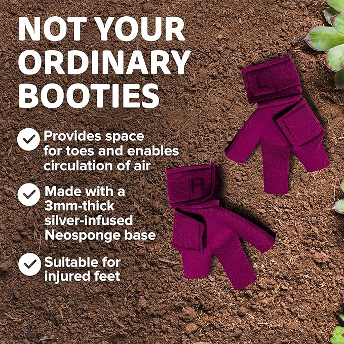 Chicken Shoes for Injured Feet – Protective Neoprene Footwear for Chicken, Open-Toe Design for Bumblefoot Relief, Made in USA - Standard, 3" Max. Inside Width, Pink