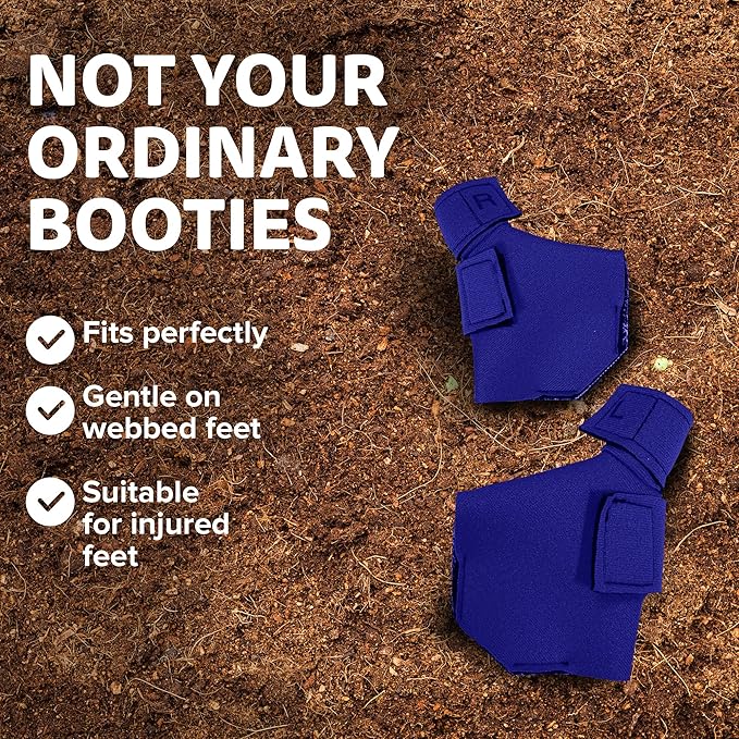 Duck Shoes for Injured Feet – Protective Neoprene Footwear for Ducks, Protective Shoes for Birds with Injured feet, Bumblefoot Relief - Large, 4.5” Max. Inside Width - Royal Blue